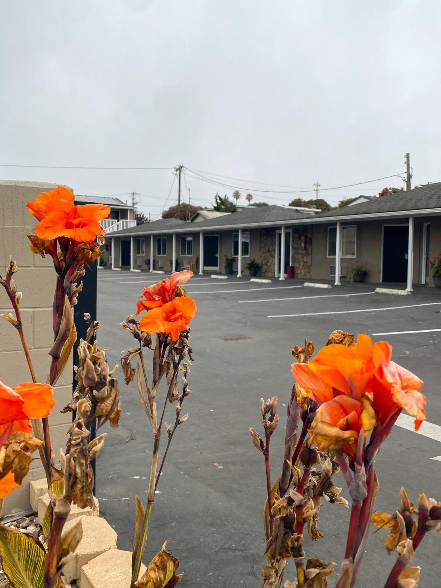 Rockview Inn And Suites Morro Bay Eksteriør bilde